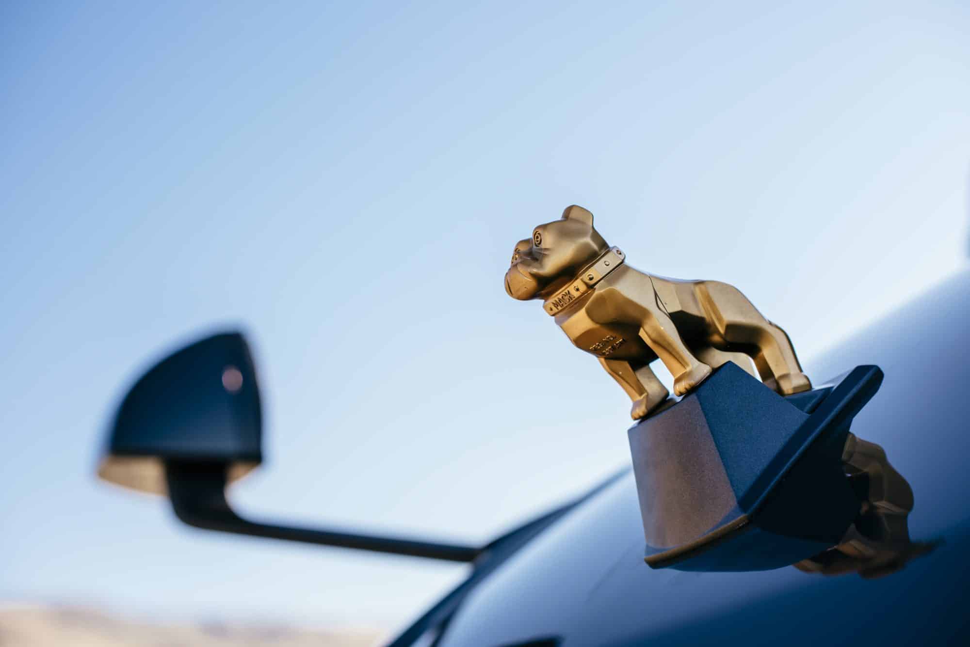 Close up of the side profile of a gold Mack bulldog hood ornament