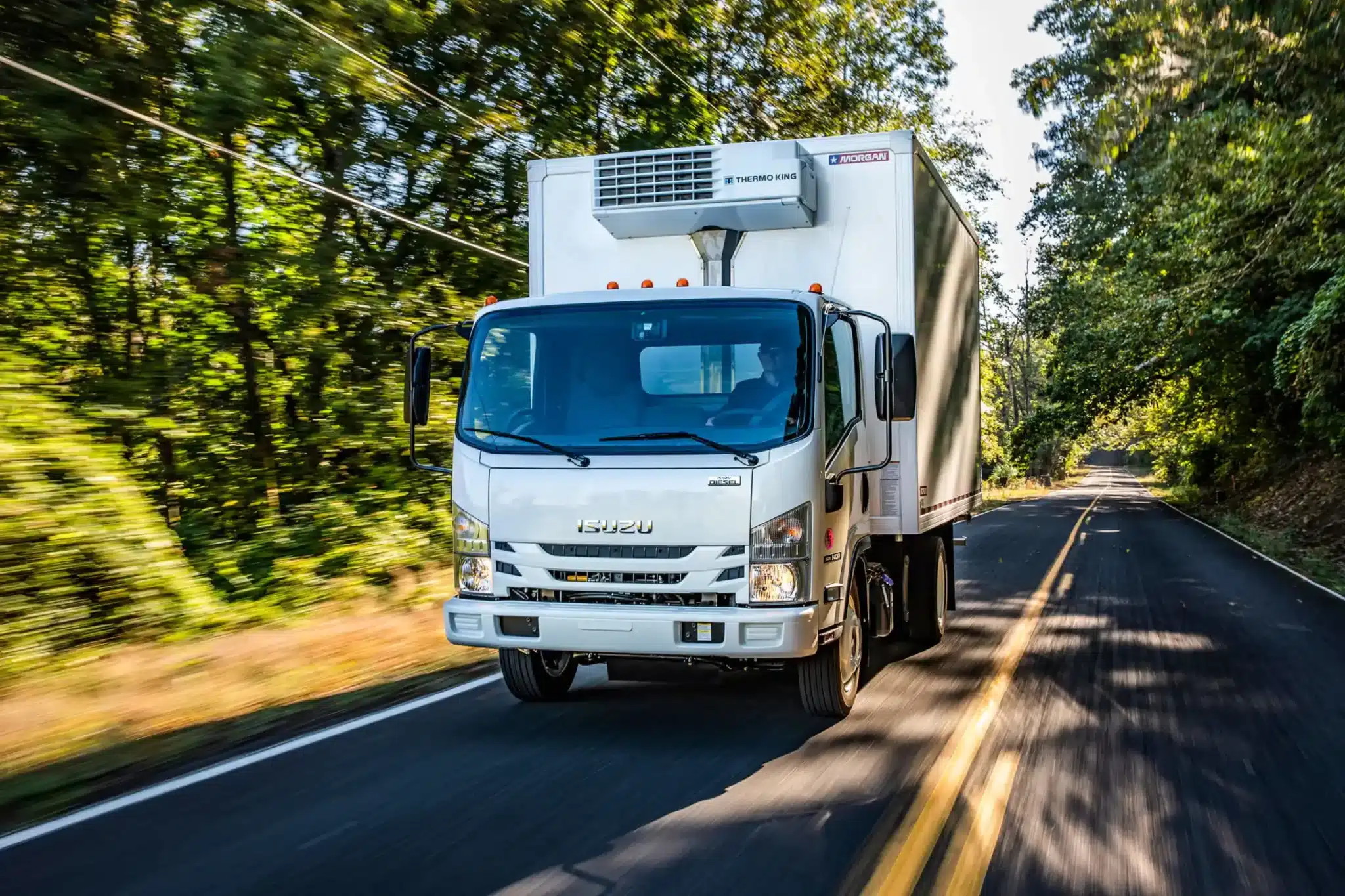 Isuzu NQR medium-duty truck driving on a road through trees