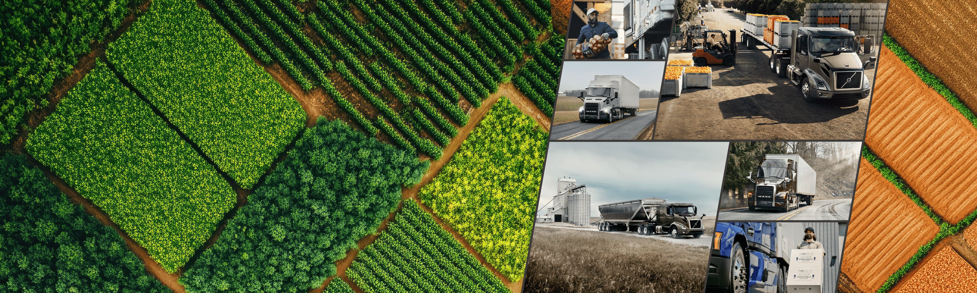 Harvest Starts With TEC