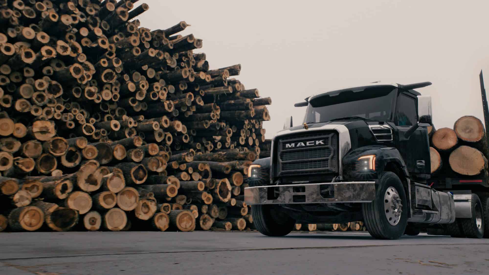 Black Mack Keystone in front of a wall of logs